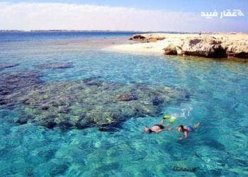 أجمل جزر الغردقة