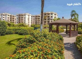 بيتا جرينز حدائق اكتوبر