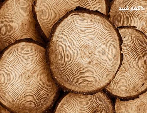 خشب الصنوبر | مميزاته وعيوبه وخصائص استخدامه