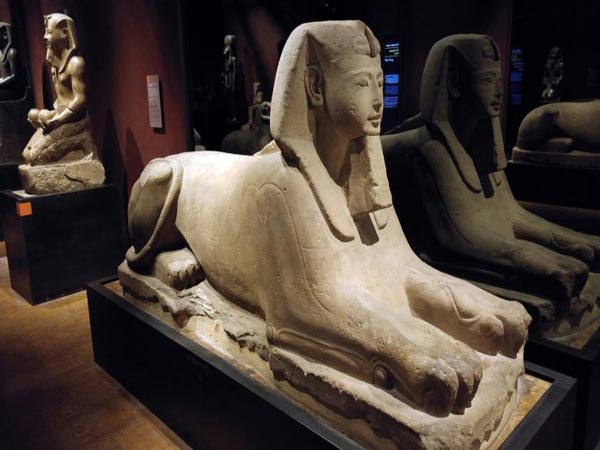 مواعيد المتحف المصرى
