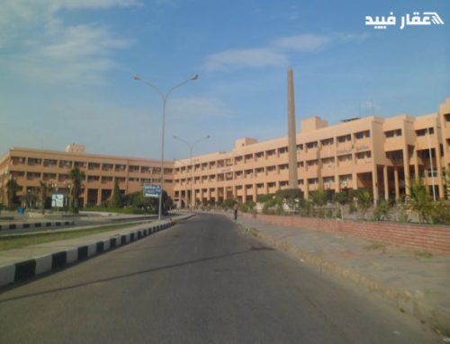 جامعة مدينة السادات | موقعها وأهدافها في تطور المنظومة التعليمية