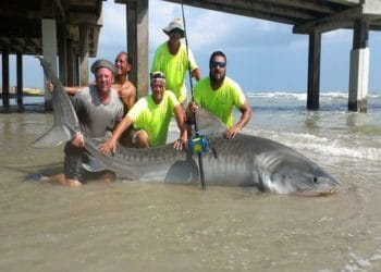 اماكن الصيد المجانية